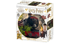 Załaduj obraz do przeglądarki galerii, Harry Potter Hogwarts Express 3D Jigsaw Puzzle
