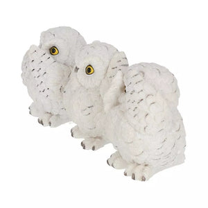 Three Wise White Owls 7.5cm