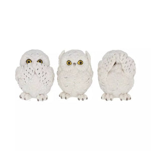 Three Wise White Owls 7.5cm