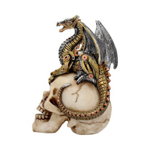 Carica l&#39;immagine nel visualizzatore di Gallery, Dragon&#39;s Grasp Steampunk Skull and Dragon 18.5cm
