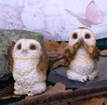 Afbeelding in Gallery-weergave laden, Three Wise Brown Owls 7.5cm
