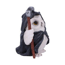 Carica l&#39;immagine nel visualizzatore di Gallery, Reapers Flight Grim Reaper Owl Familiar Figurine 12.5cm
